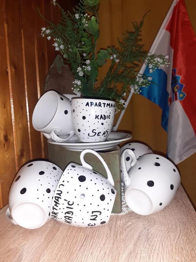 Apartman Kadic Senj Senj  Extérieur photo